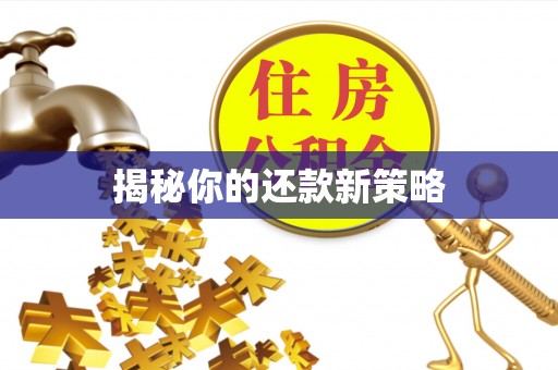 常山揭秘你的还款新策略
