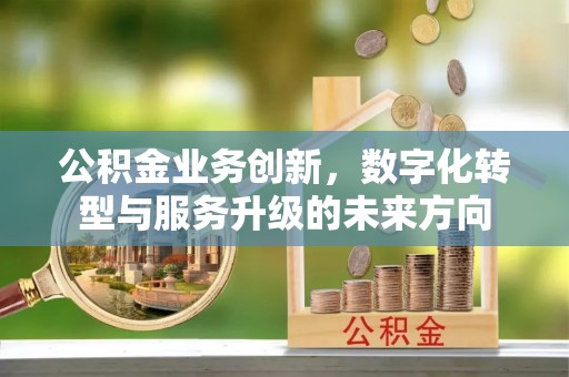 常山公积金业务创新，数字化转型与服务升级的未来方向