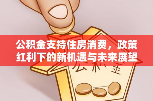 常山公积金支持住房消费，政策红利下的新机遇与未来展望