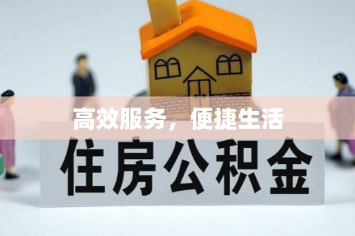 常山高效服务，便捷生活