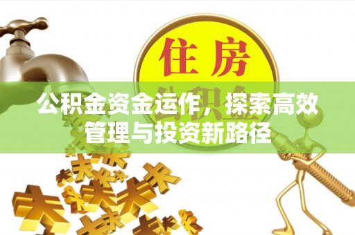 常山公积金资金运作，探索高效管理与投资新路径