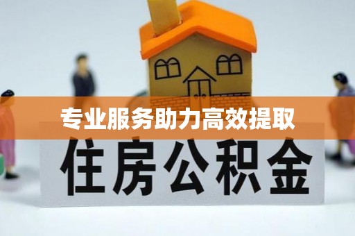 常山专业服务助力高效提取