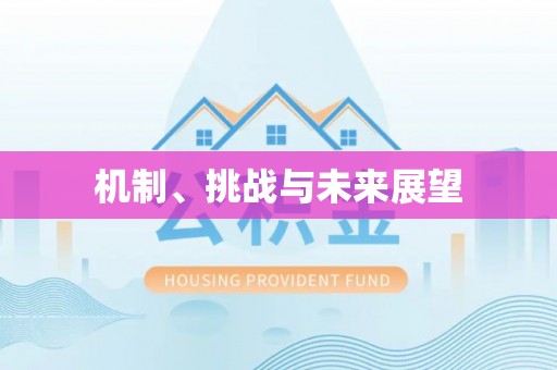 常山机制、挑战与未来展望